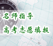 名師指導志愿填報